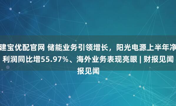 建宝优配官网 储能业务引领增长，阳光电源上半年净利润同比增55.97%、海外业务表现亮眼 | 财报见闻